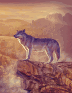 Wolf Mountain Composition Notebook, Blank Sketch Paper: Creative Artist Drawing Sketchbook