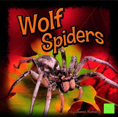 Wolf Spiders - Mattern, Joanne