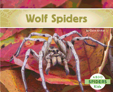 Wolf Spiders