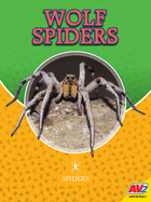 Wolf Spiders