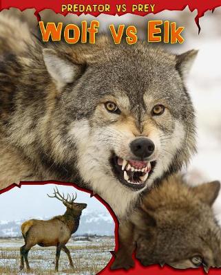 Wolf vs Elk - Meinking, Mary