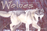 Wolves: Postcard Book - Browntrout Publishers (Manufactured by)