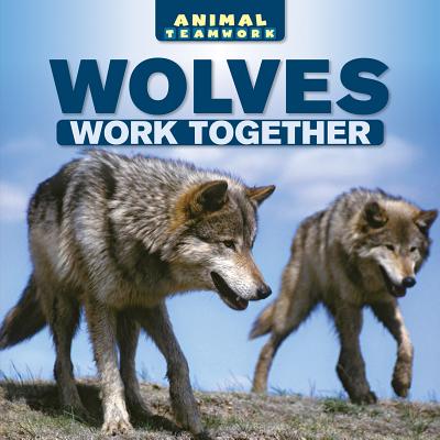 Wolves Work Together - Scout, Mike