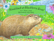 Woodchuck at Blackberry Road