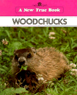 Woodchucks