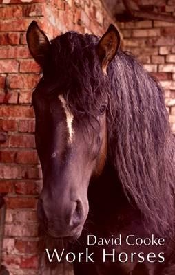 Work Horses - Cooke, David