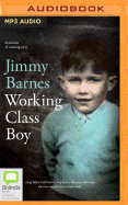 Working Class Boy