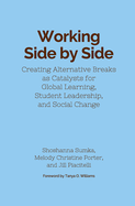 Working Side by Side: Creating Alternative Breaks as Catalysts for Global Learning, Student Leadership, and Social Change