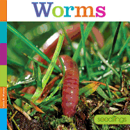 Worms