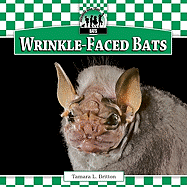 Wrinkle-Faced Bats