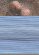 Written in Bones: How Human Remains Unlock the Secrets of the Dead