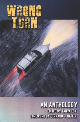 Wrong Turn - Schaffer, Bernard (Foreword by), and Eby, Tanya