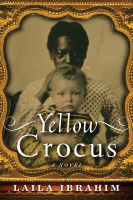Yellow Crocus - Ibrahim, Laila