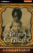 Yellow Crocus