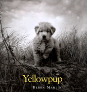Yellowpup