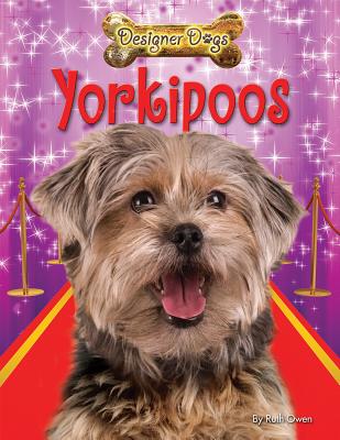 Yorkipoos - Owen, Ruth