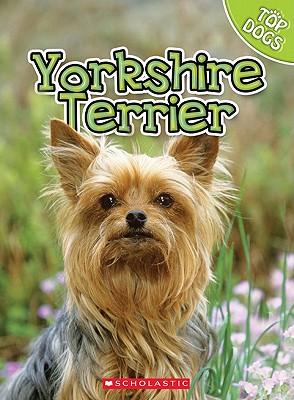 Yorkshire Terrier - George, Charles, and George, Linda