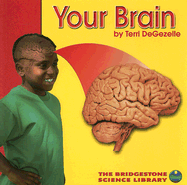 Your Brain