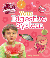 Your Digestive System