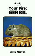 Your First Gerbil
