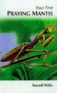 Your first praying mantis