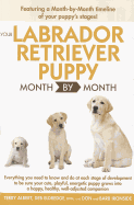 Your Labrador Retriever Puppy Month by Month