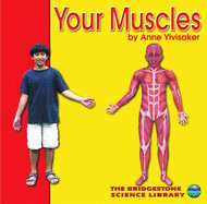 Your Muscles