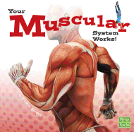 Your Muscular System Works!