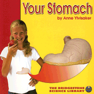 Your Stomach
