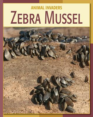 Zebra Mussel - Gray, Susan H