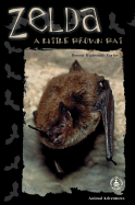 Zelda: A Little Brown Bat
