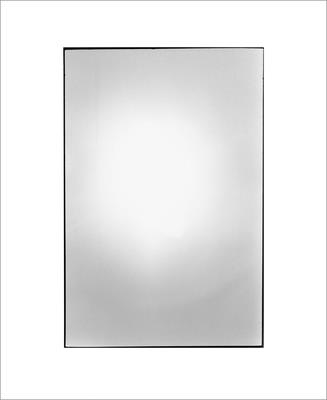 Zoe Leonard: Available Light - Leonard, Zoe (Photographer), and Kelly, Karen (Editor), and Schroeder, Barbara (Editor)