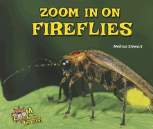 Zoom in on Fireflies