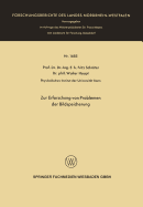 Zur Erforschung Von Problemen Der Bildspeicherung